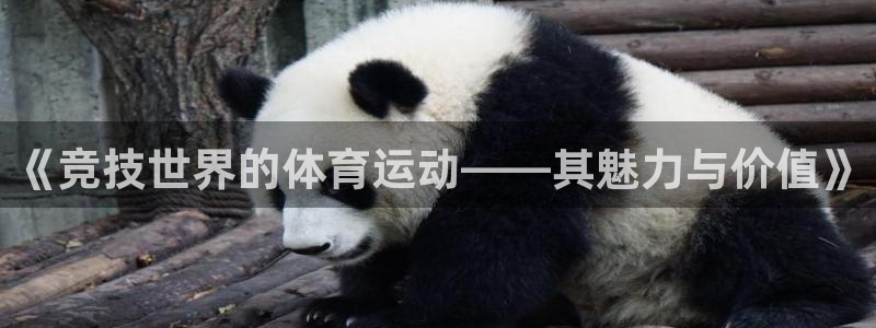 米兰体育官方正版app集团:《竞技世界的体育运动——其魅力与
