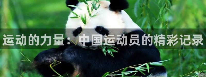 米兰体育官网下载联系电话:运动的力量:中国运动员的精彩记录