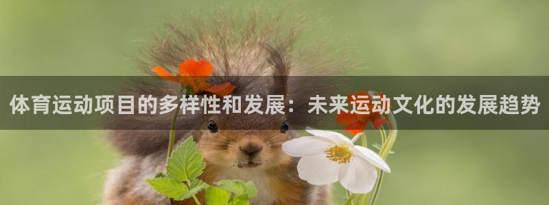 米兰体育官方集团官网:体育运动项目的多样性和发展:未来运动文